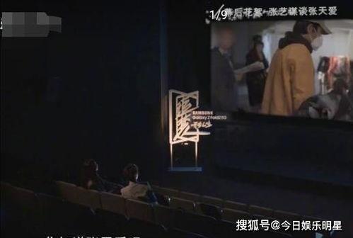 直播爆料张艺谋事件视频,真相与争议交织  第3张