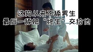 被舔的视频在线观看,被舔背后的故事与情感纠葛  第1张